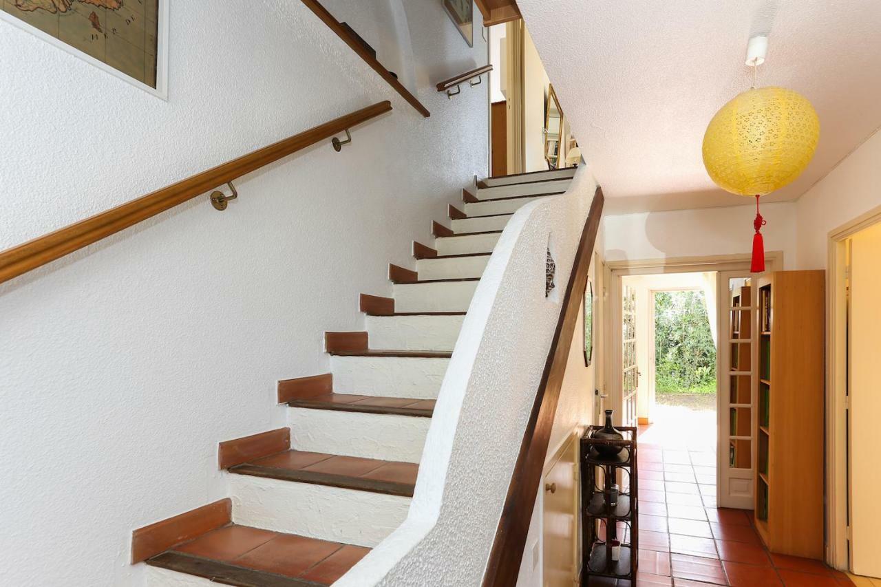 Suquette Charming Provencal House In Antibes With Nice Terrace, Garden And Pool Access Eksteriør bilde